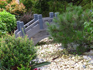 Yaprak resmi, doğa konsepti fotoğrafı.