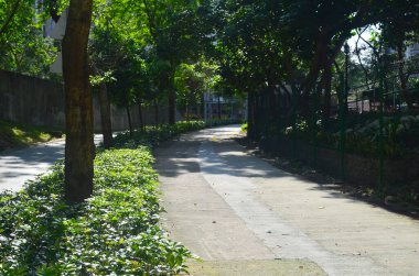 2013 May 24 park in city, pedestrian way at summer
