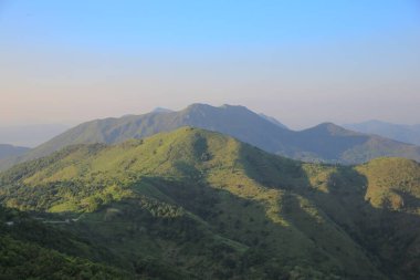 the landscape of vegetative, the nature concept