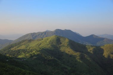 the landscape of vegetative, the nature concept