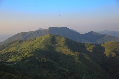 the landscape of vegetative, the nature concept