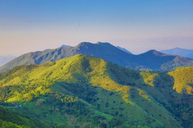 the landscape of vegetative, the nature concept