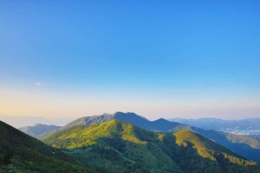 the landscape of vegetative, the nature concept