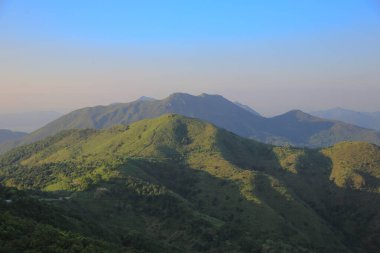 the landscape of vegetative, the nature concept