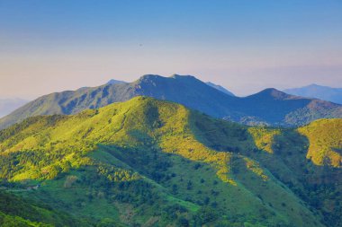 the landscape of vegetative, the nature concept