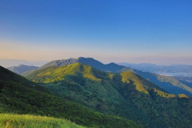 the landscape of vegetative, the nature concept