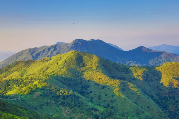 the landscape of vegetative, the nature concept