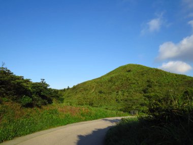 a Mountain landscape with wheat field , Kowloon peak