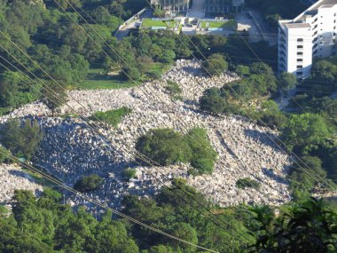 1 June 2013 Diamond Hill Urn Cemetery, at kowloon, hk