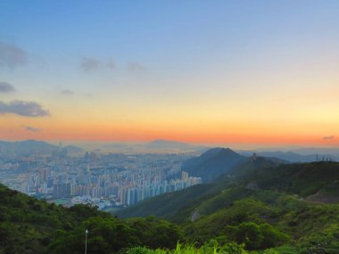 the Green vegetative, the nature landscape concept