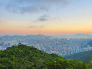 the Green vegetative, the nature landscape concept