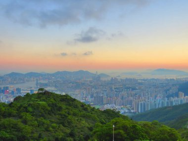 the Green vegetative, the nature landscape concept