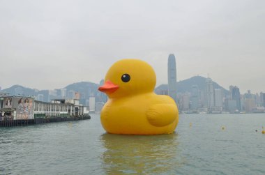 2013 may 4 Giant yellow rubber duck floating on Victoria Harbour