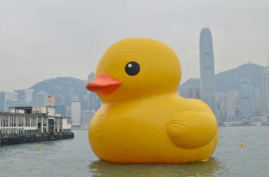 2013 may 4 Giant yellow rubber duck floating on Victoria Harbour