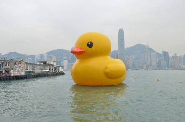 2013 may 4 Giant yellow rubber duck floating on Victoria Harbour