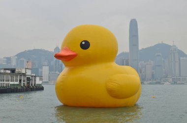 2013 may 4 Giant yellow rubber duck floating on Victoria Harbour
