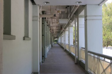 the campus of Academy of Visual Arts, 5 Oct 2013