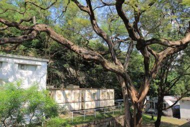 the campus of Academy of Visual Arts, 5 Oct 2013