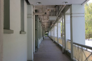 the campus of Academy of Visual Arts, 5 Oct 2013