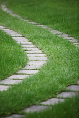 stepping stone pathway in a garden or back yard.