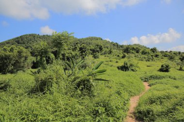 the landscape of High Junk Peak Country Trail, hk