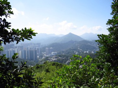 the landscape of High Junk Peak Country Trail, hk