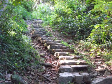 the landscape of High Junk Peak Country Trail, hk