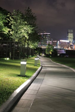 2013 June 28 pedestrian walkway in park at night, Tamar Park