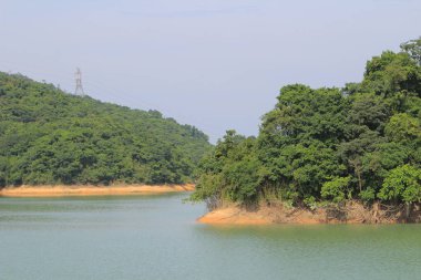 Bitki örtüsü, doğa konsepti.