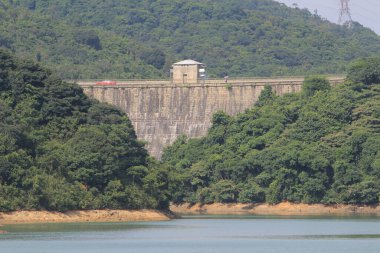 Bitki örtüsü, doğa konsepti.