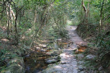 Plover koyu Country Park, Sam A Chung, hk