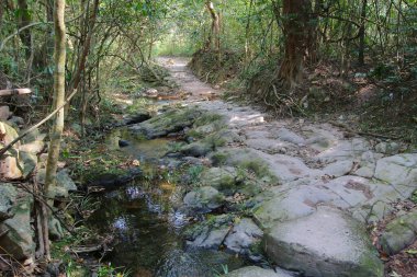 Plover koyu Country Park, Sam A Chung, hk