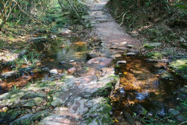 Plover koyu Country Park, Sam A Chung, hk