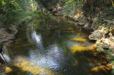 Plover koyu Country Park, Sam A Chung, hk