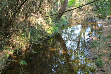 Plover koyu Country Park, Sam A Chung, hk