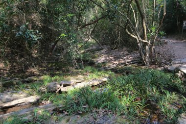 Plover koyu Country Park, Sam A Chung, hk