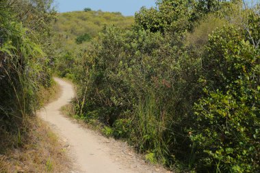 Plover koyu Country Park, Sam A Chung, hk