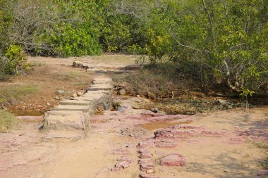 Plover koyu Country Park, Sam A Chung, hk