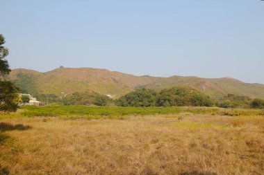 Plover koyu Country Park, Sam A Chung, hk