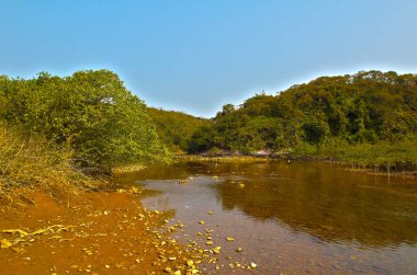 Plover koyu Country Park, Sam A Chung, hk