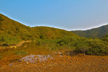 Plover koyu Country Park, Sam A Chung, hk