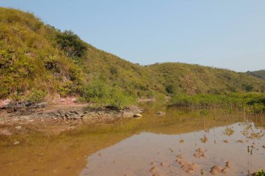 Plover koyu Country Park, Sam A Chung, hk