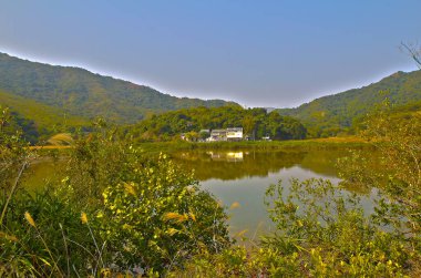 Plover koyu Country Park, Sam A Chung, hk