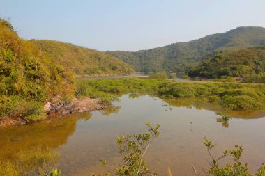 Plover koyu Country Park, Sam A Chung, hk
