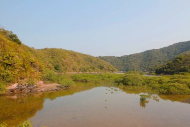 Plover koyu Country Park, Sam A Chung, hk