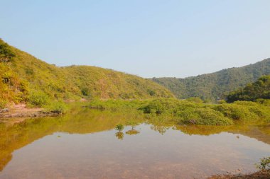 Plover koyu Country Park, Sam A Chung, hk