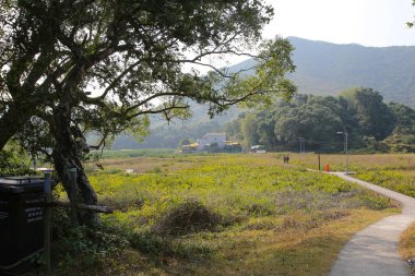 Plover koyu Country Park, Sam A Chung, hk
