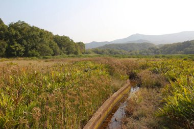 Plover koyu Country Park, Sam A Chung, hk