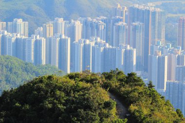 Bitki örtüsü, doğa konsepti.