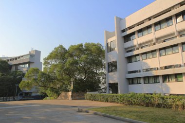 the campus of Chinese University of Hong Kong. 30 Nov 2013